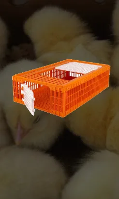 cage de transport ads