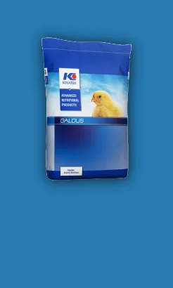 koudjis predemarrage ads