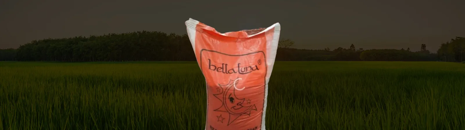 slider bella luna ads bg